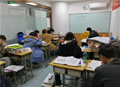 新闻中心郑州心睿教育咨询 | 以专业赋能成长，用智慧点亮未来